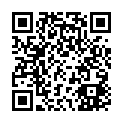 To view this 2009 Volkswagen GTI W12 650   from autoSTRADA Powersport, please scan this QR code with your smartphone or tablet to view the mobile version of this page.